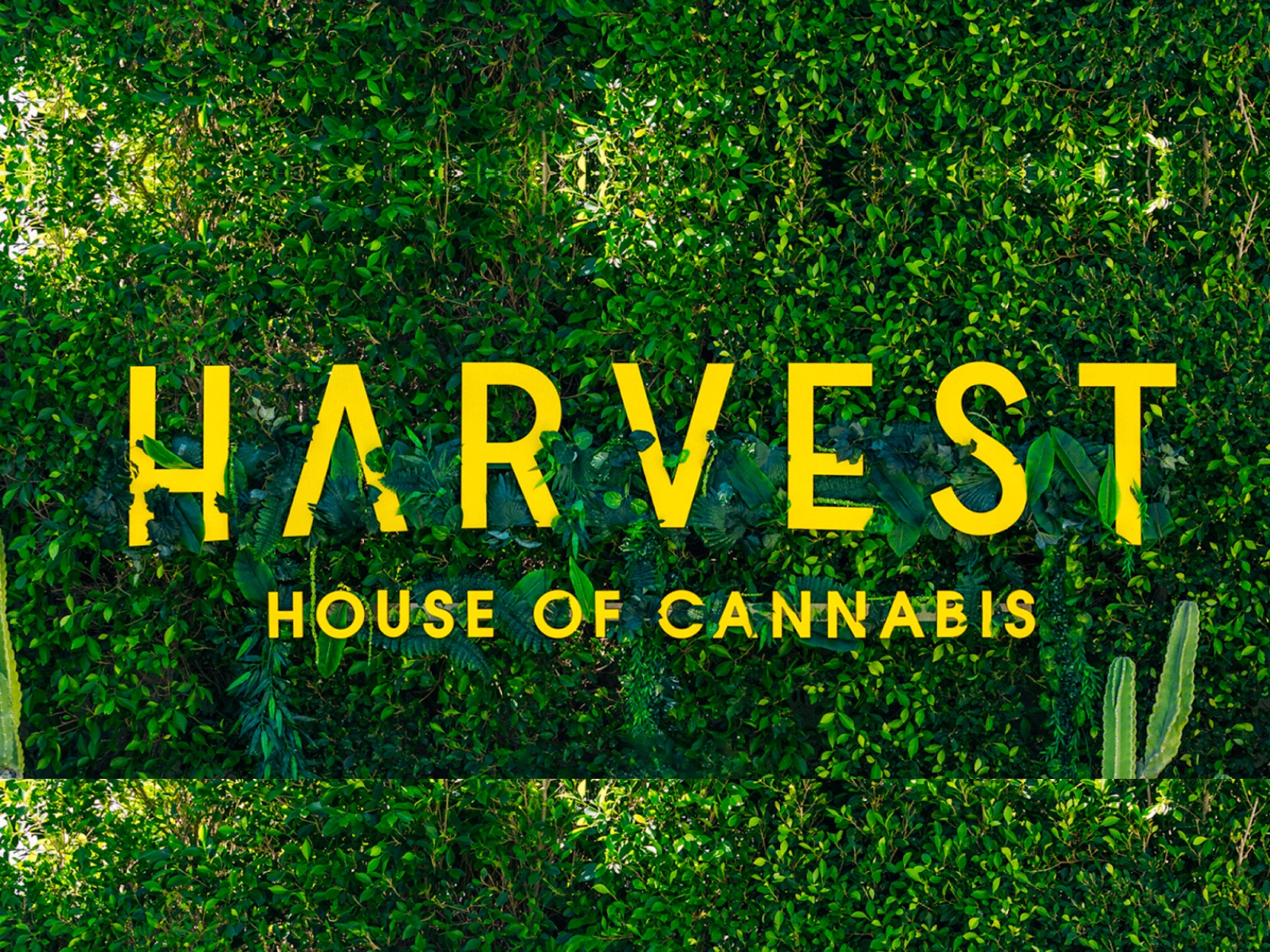 Harvest Health & Rec.